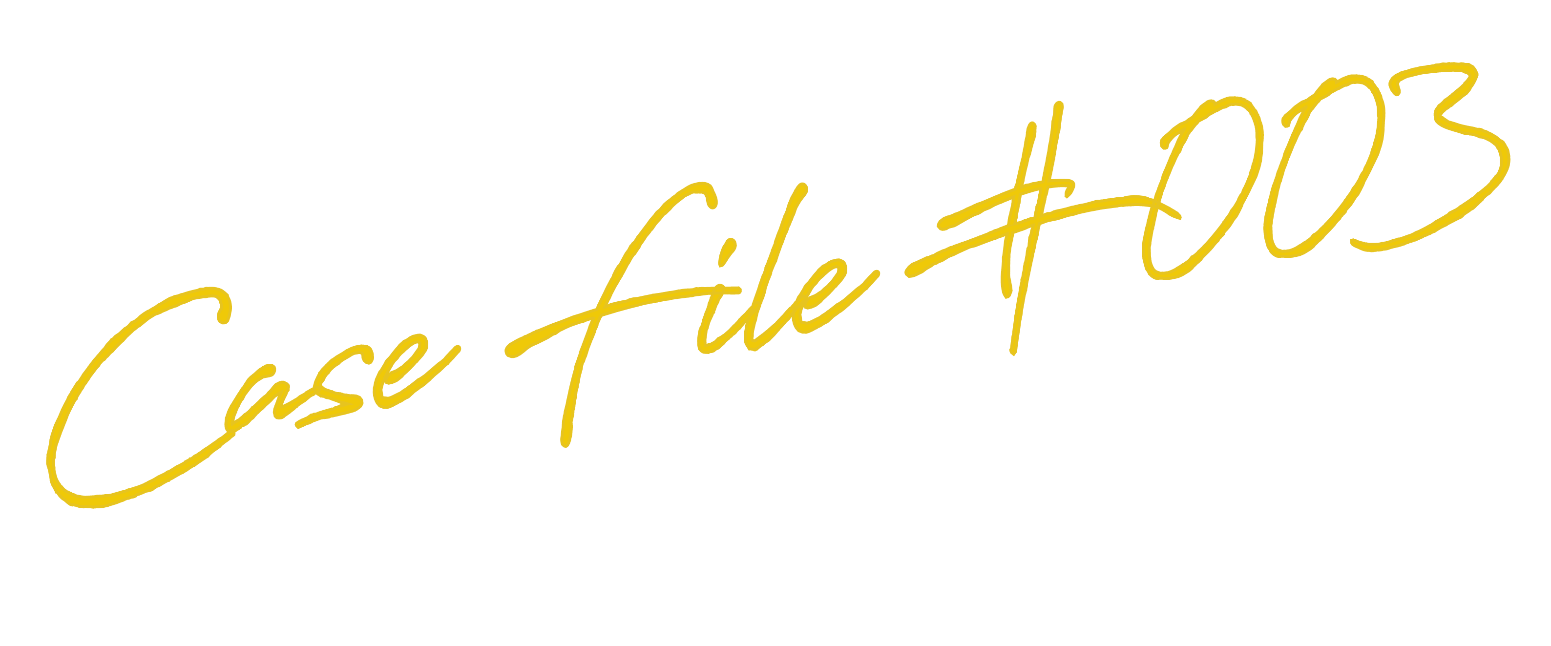 Case File