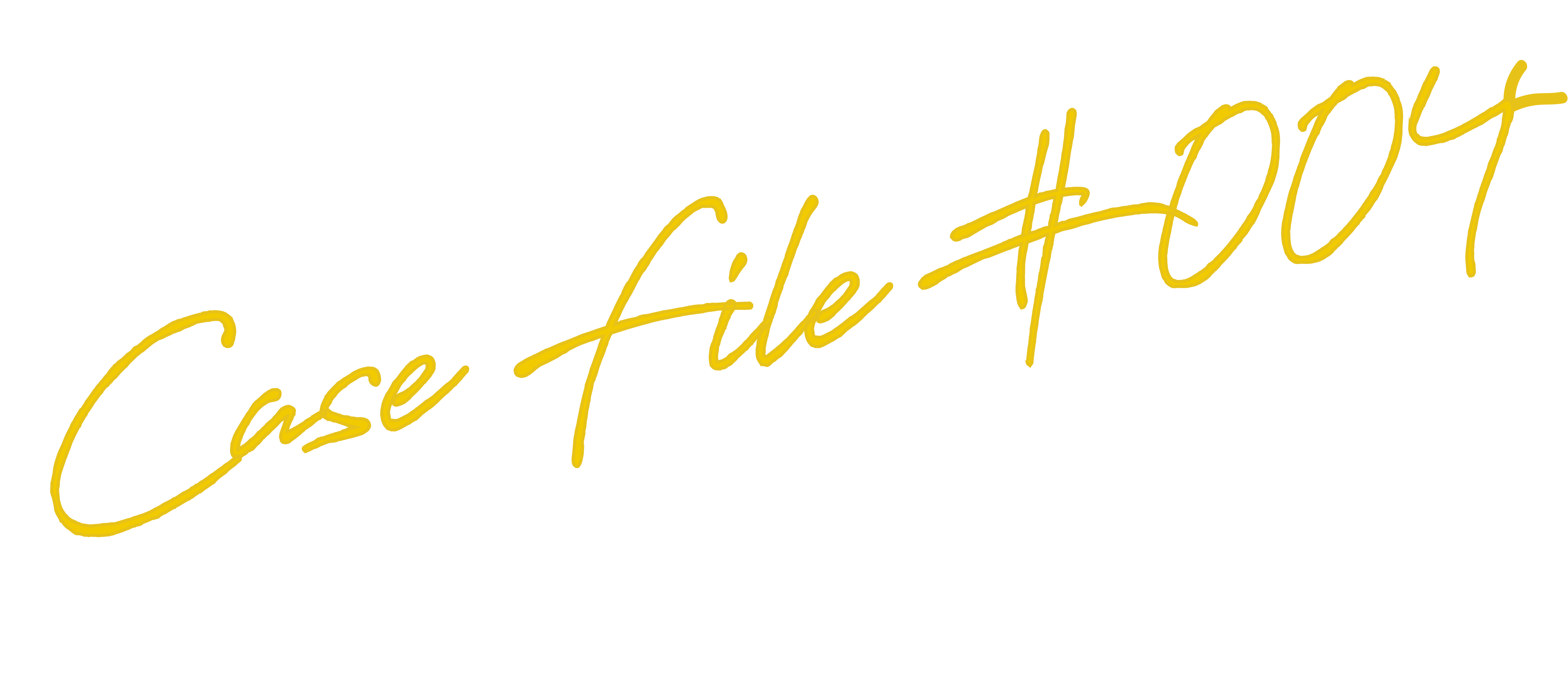 Case File