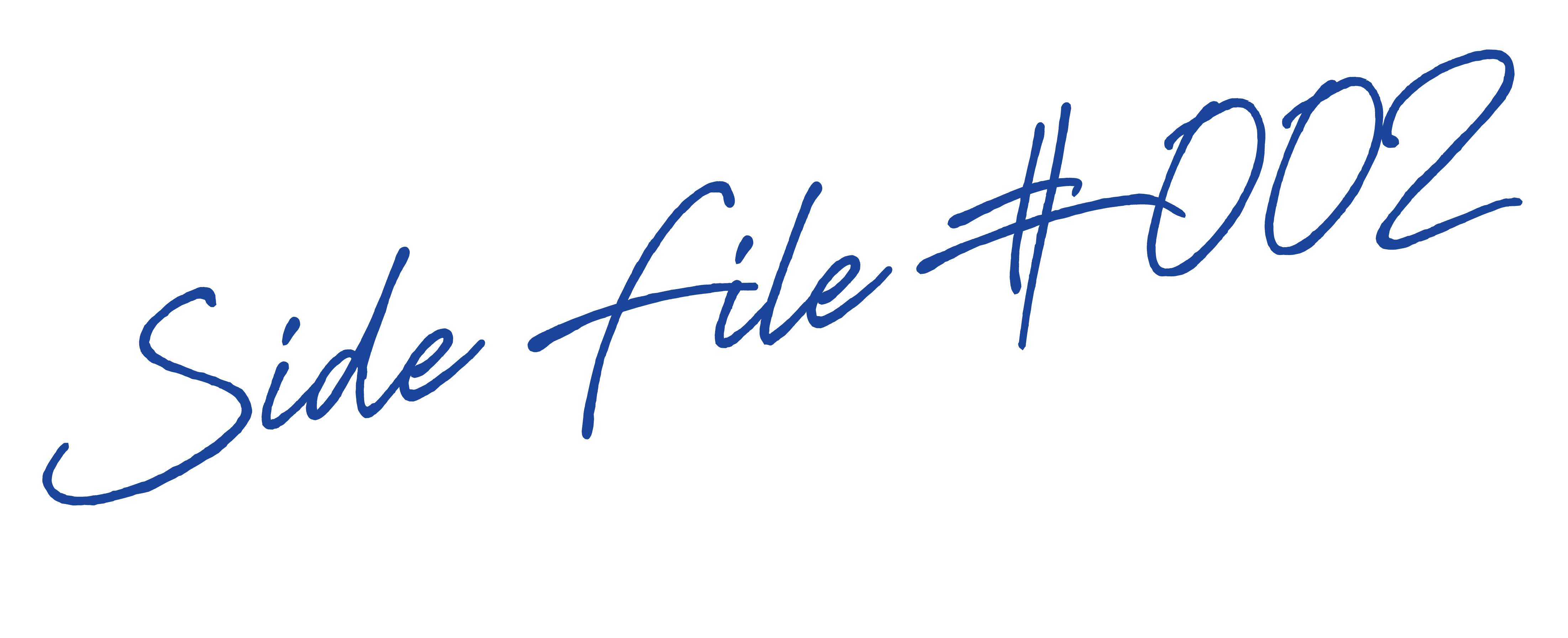 Side File